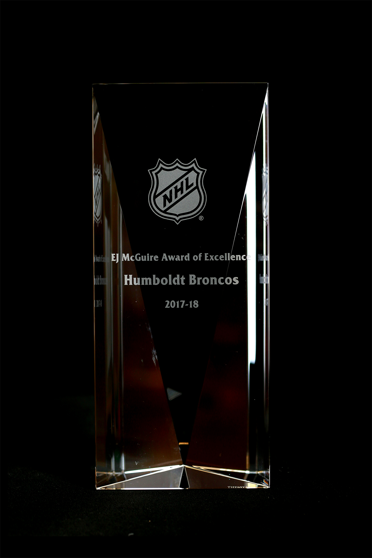 https://records.nhl.com/site/asset/public/images/trophy/ej-mcguire-award-of-excellence.jpg